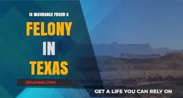Is Insurance Fraud a Felony in Texas? Legal Consequences Explained