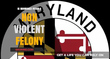 Is Insurance Fraud a Non-Violent Felony? Legal Insights Explained