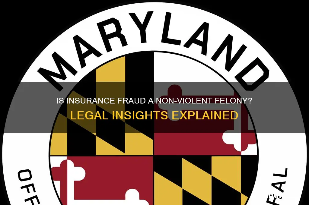 is insurance fraud a non violent felony