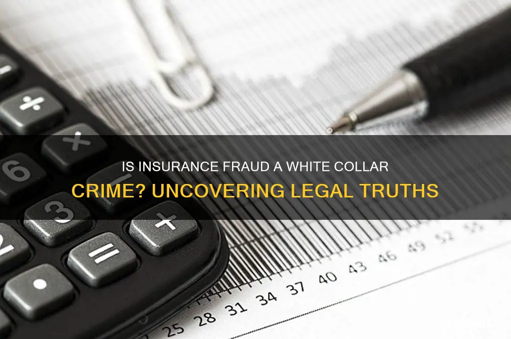 is insurance fraud a white collar crime