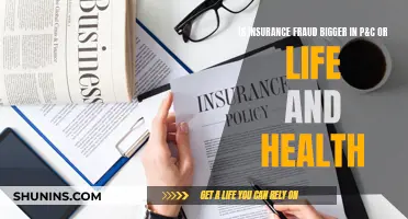 Insurance Fraud: P&C vs Life and Health