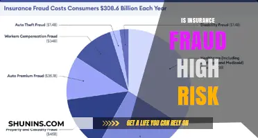 Insurance Fraud: High-Risk, High-Consequence Crime