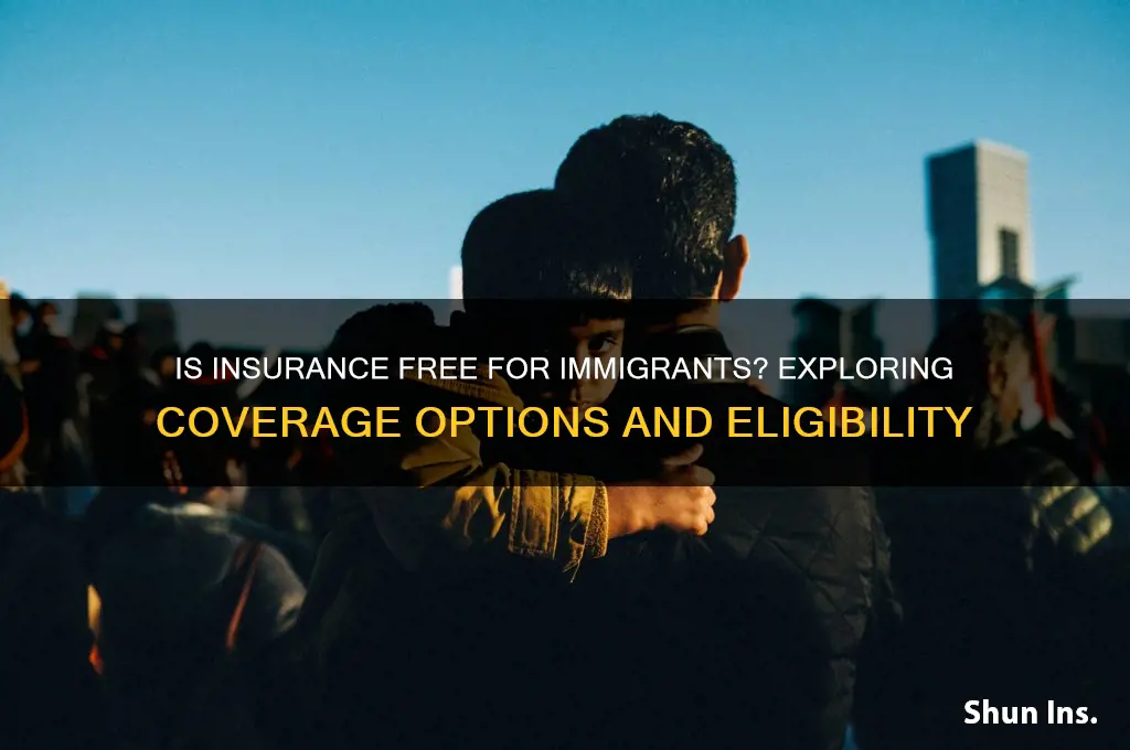 is insurance free for immigrants