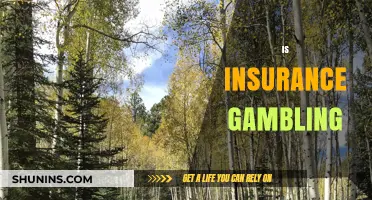 Gambling or Safety Net: The Truth About Insurance