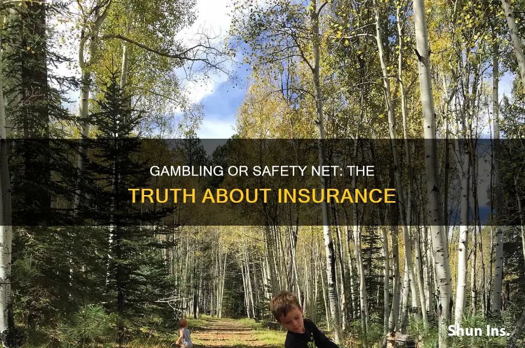 is insurance gambling