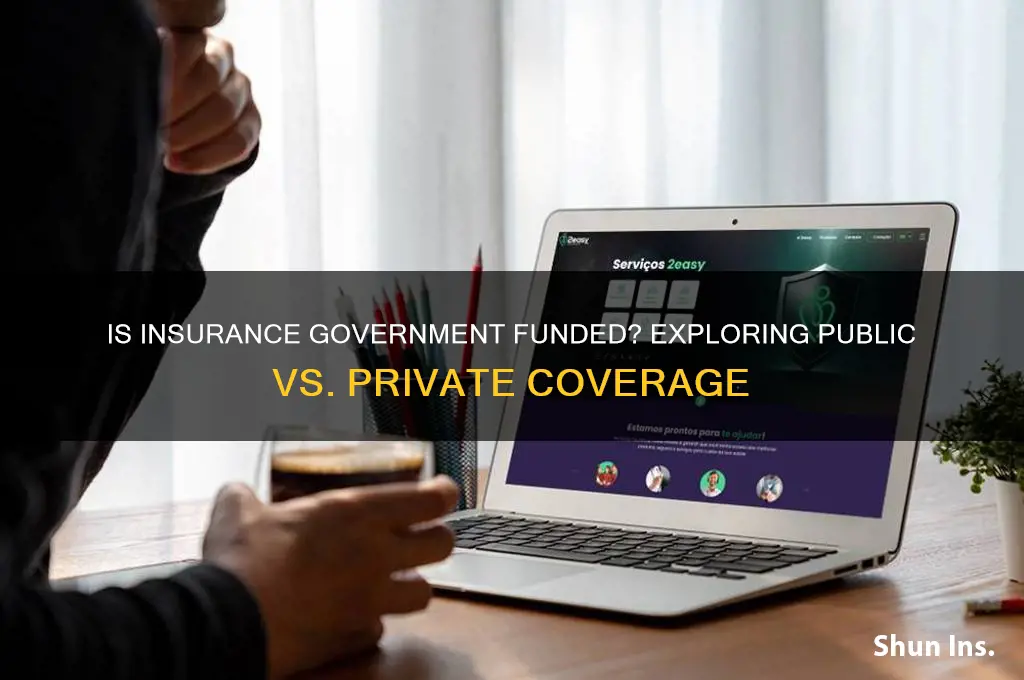 is insurance government funded