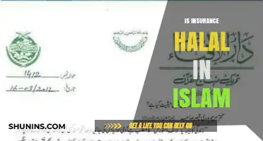 Is Insurance Halal? Exploring Islamic Perspectives on Risk and Protection