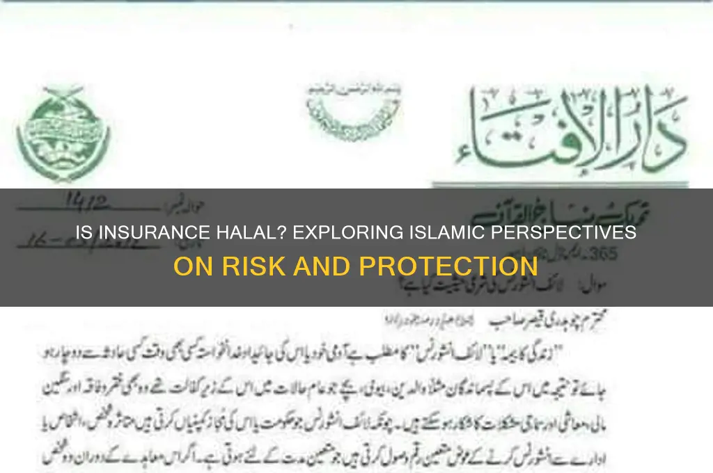 is insurance halal in islam