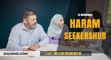 Is Insurance Haram? Exploring Islamic Perspectives on SeekersHub