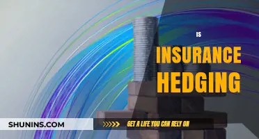 Is Insurance Hedging: Understanding Risk Management and Financial Protection