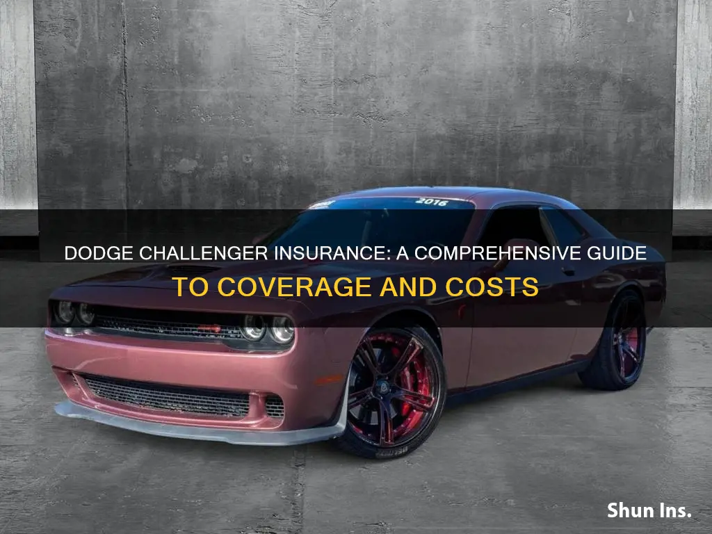 is insurance high on a dodge challenger