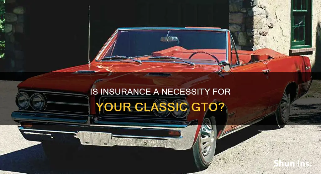 is insurance high on a gto