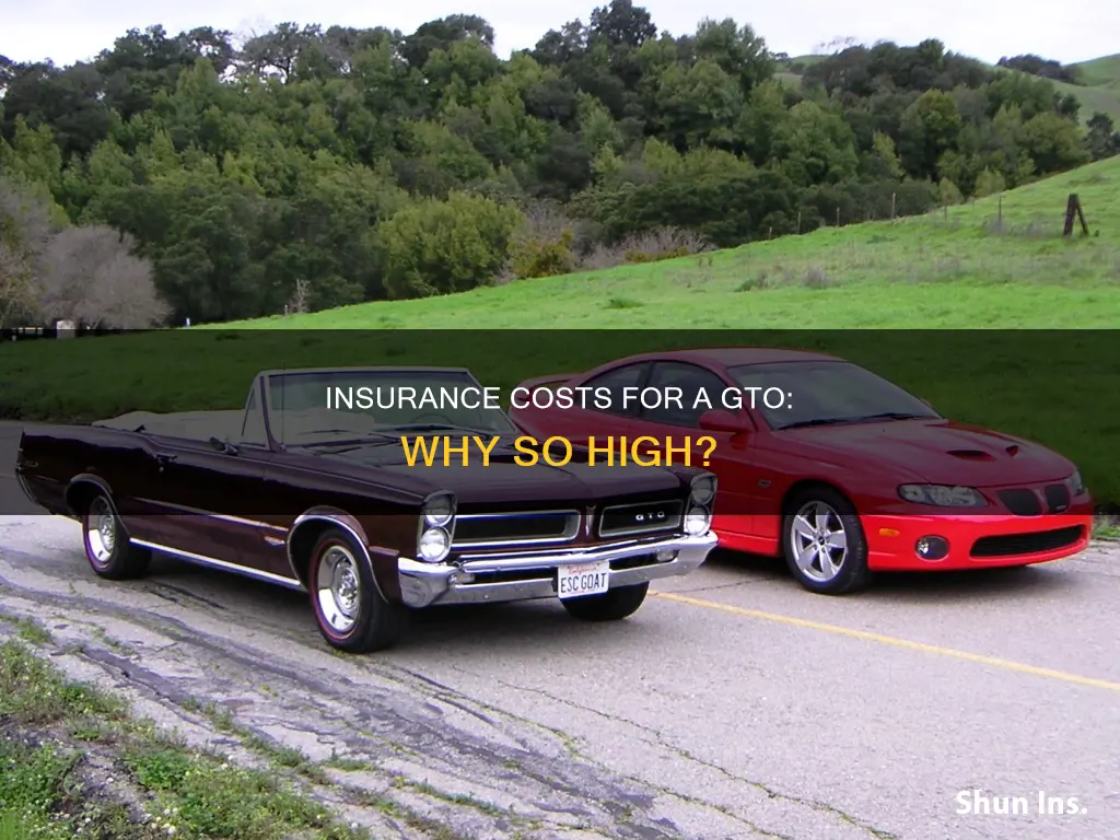 is insurance high on a gto