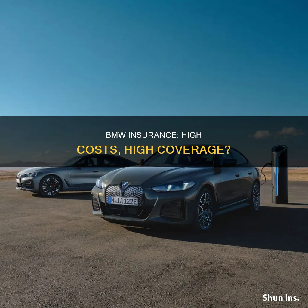 is insurance high on bmw