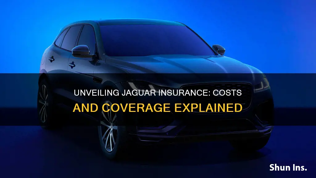 is insurance higher on jaguars