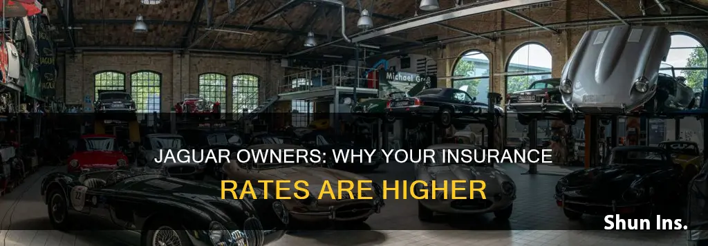 is insurance higher on jaguars
