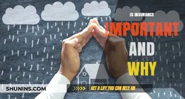 Why Insurance Matters: Protecting Your Future and Financial Stability