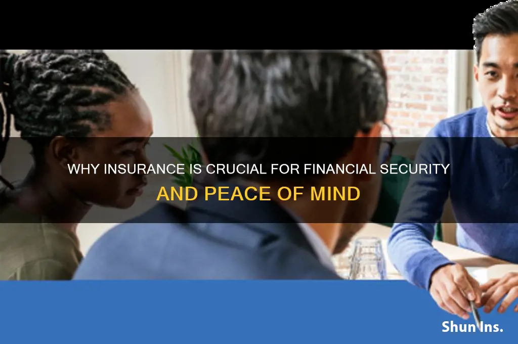 is insurance important support your answer