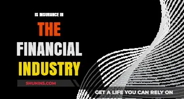 Is Insurance a Financial Industry Pillar? Exploring Its Role and Impact