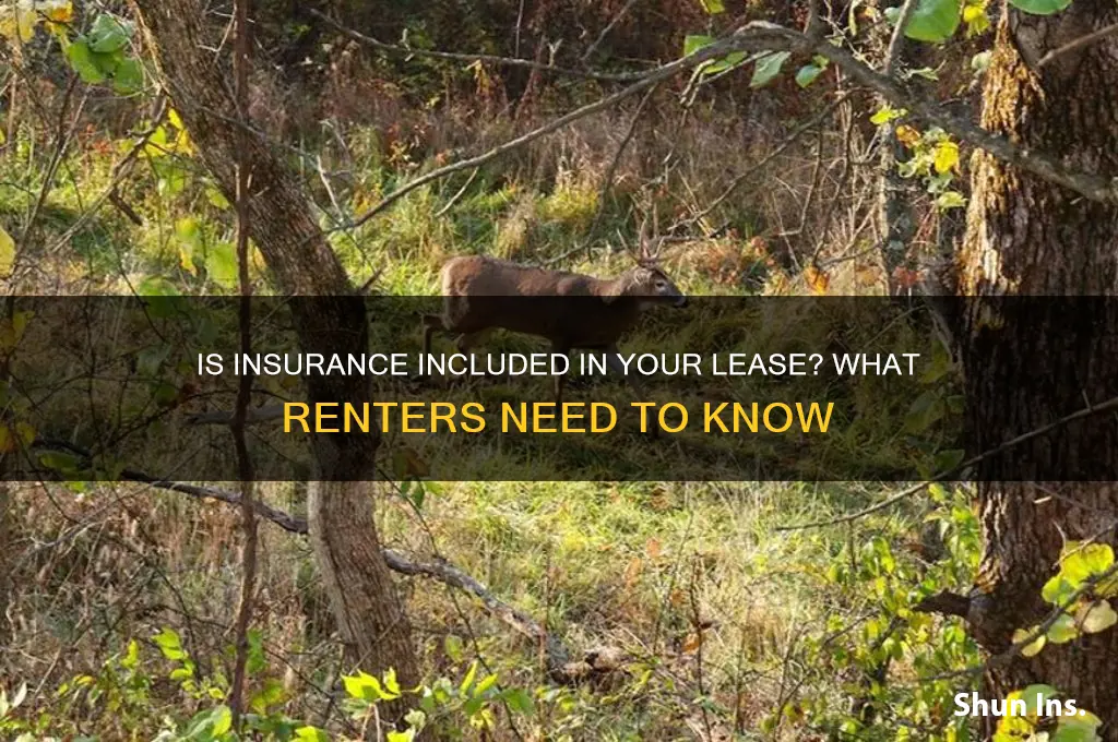 is insurance incorporated in a elase