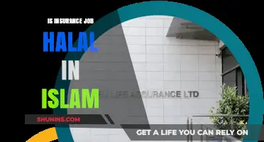 Is an Insurance Career Permissible in Islam? Exploring Halal Perspectives