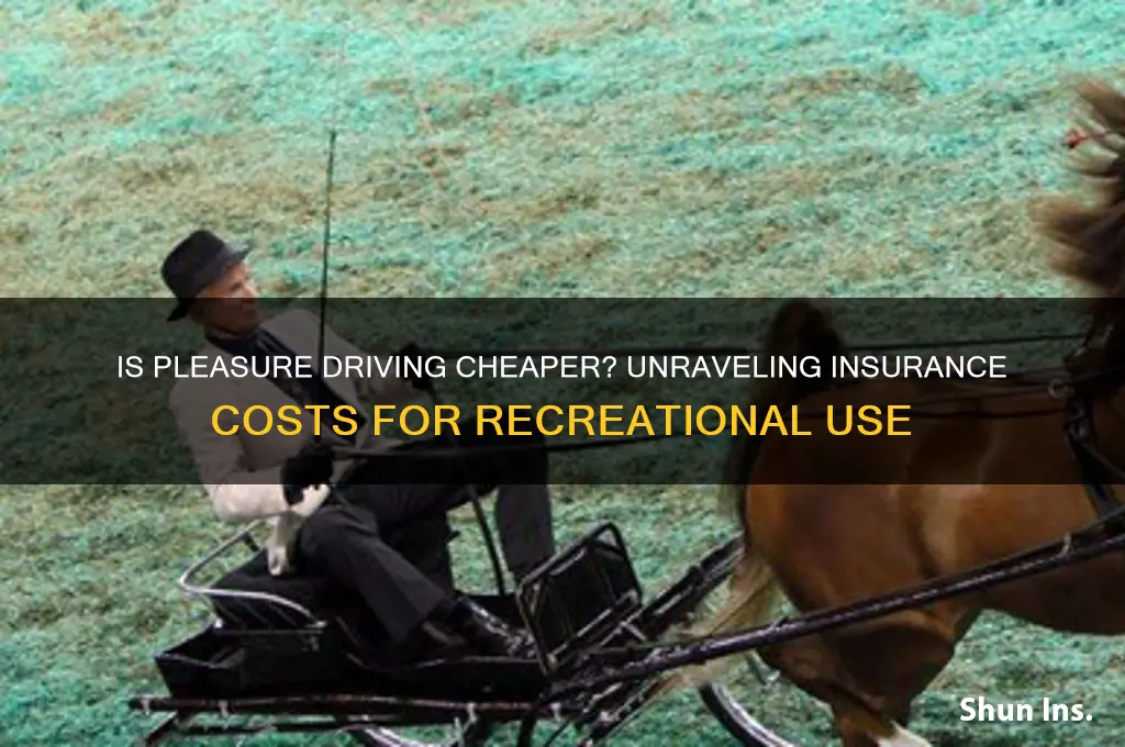 is insurance less for pleasure