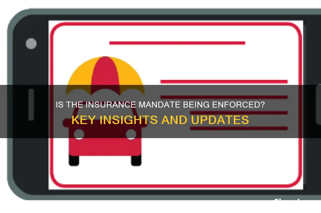 is insurance mandate being enforced