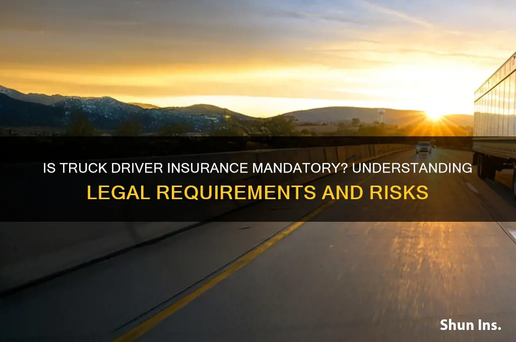 is insurance mandatory for truck drivers