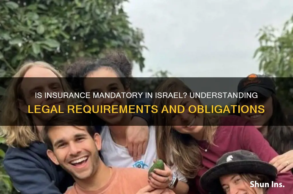 is insurance mandatory in israel