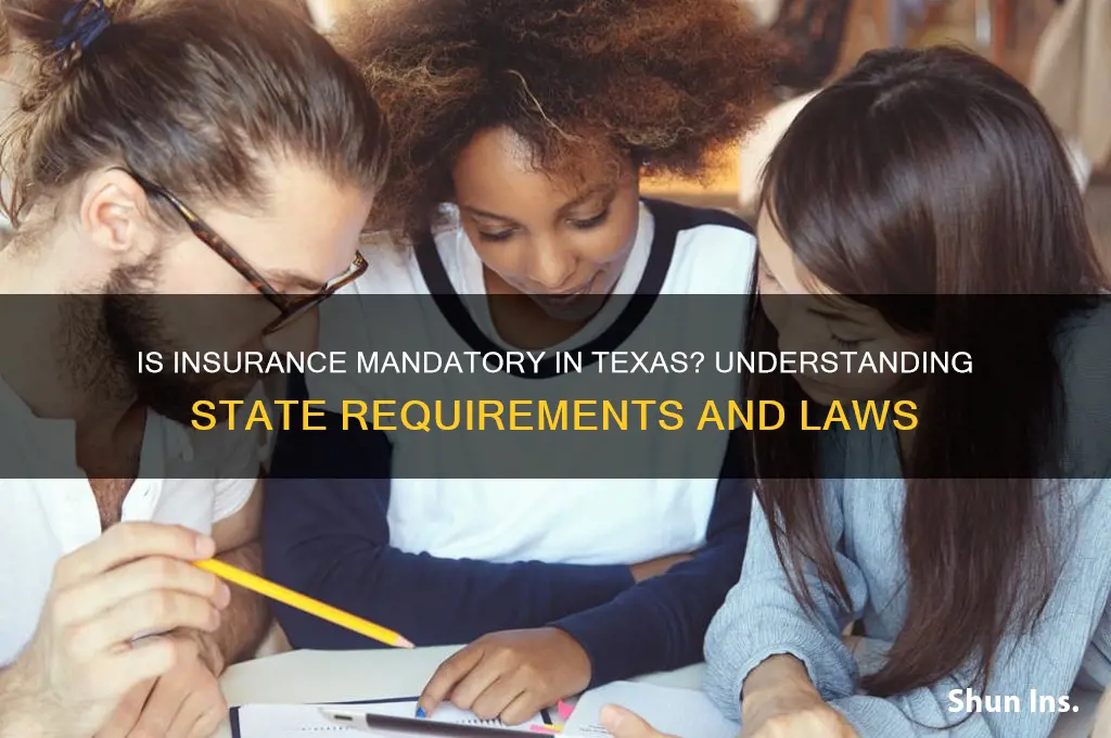 is insurance mandatory in texas