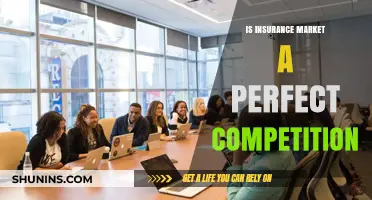 Is the Insurance Market Truly a Perfect Competition? Exploring the Dynamics