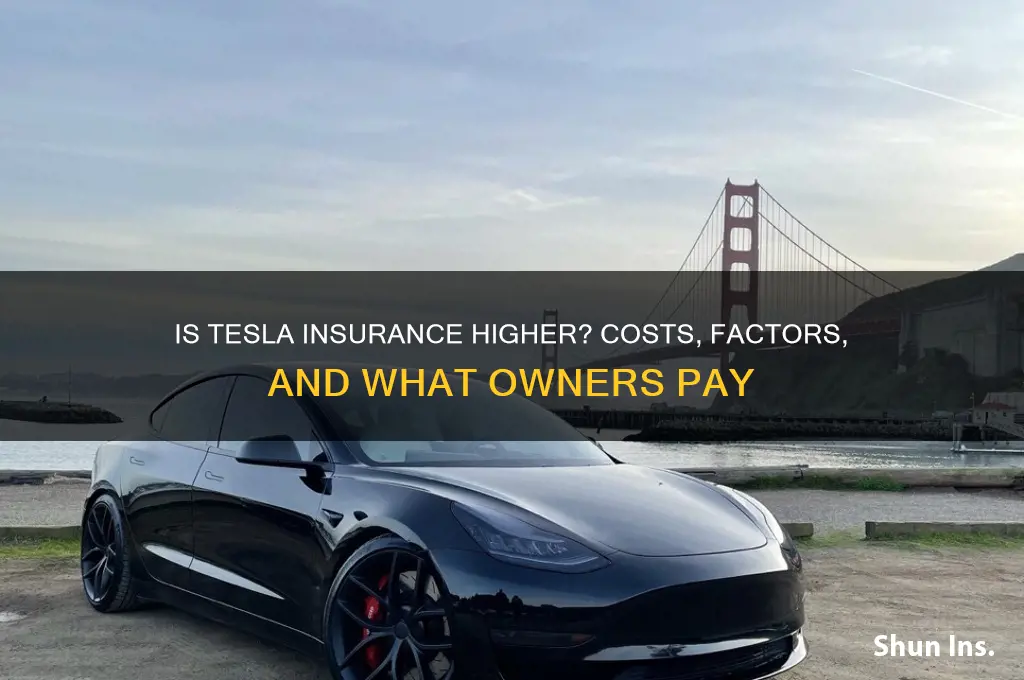 is insurance more for a tesla