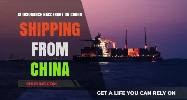 Is Cargo Insurance Essential for Shipping from China?