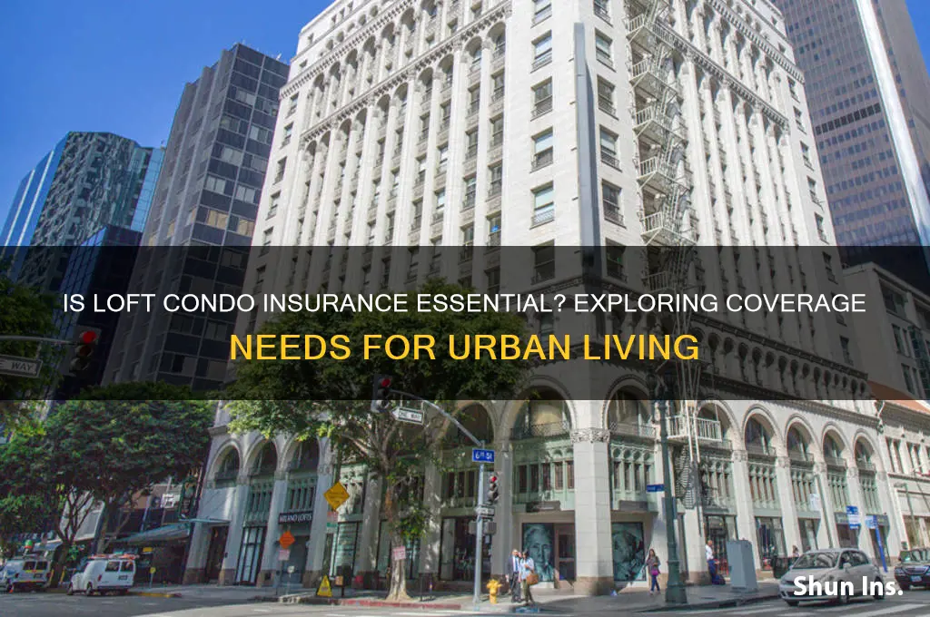 is insurance necessary for a loft condo
