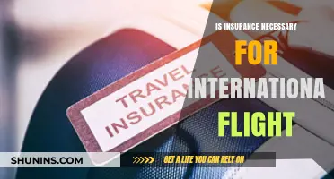 Is Travel Insurance Essential for International Flights? Pros and Cons Explained