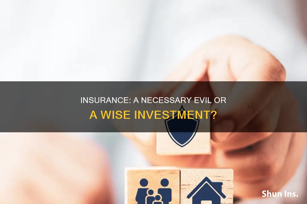 is insurance necessary