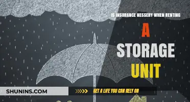 Is Storage Unit Insurance Essential for Renters? Pros and Cons Explained