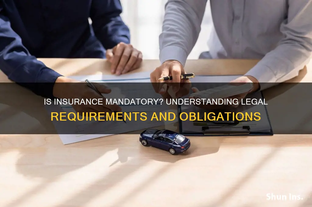 is insurance obligatory