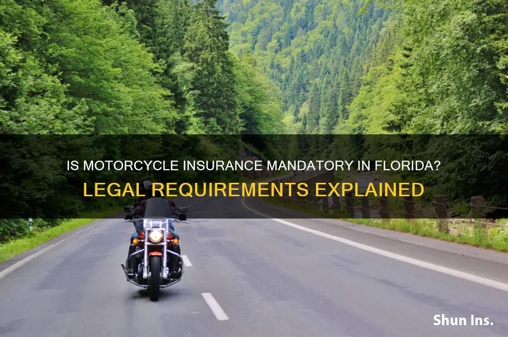 is insurance on a motorcycle mandatory for fl