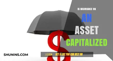 Capitalizing Insurance on Assets: Accounting Treatment and Best Practices