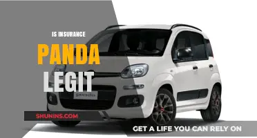 Is Insurance Panda Legit? Uncovering the Truth About Their Services