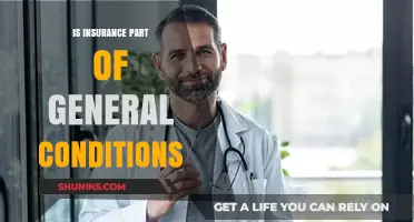 Understanding Insurance: Its Role in General Conditions Explained