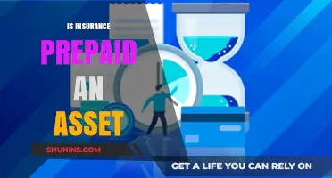 Is Insurance Prepaid an Asset? Understanding Its Financial Classification