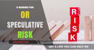 Understanding Insurance: Pure vs Speculative Risk