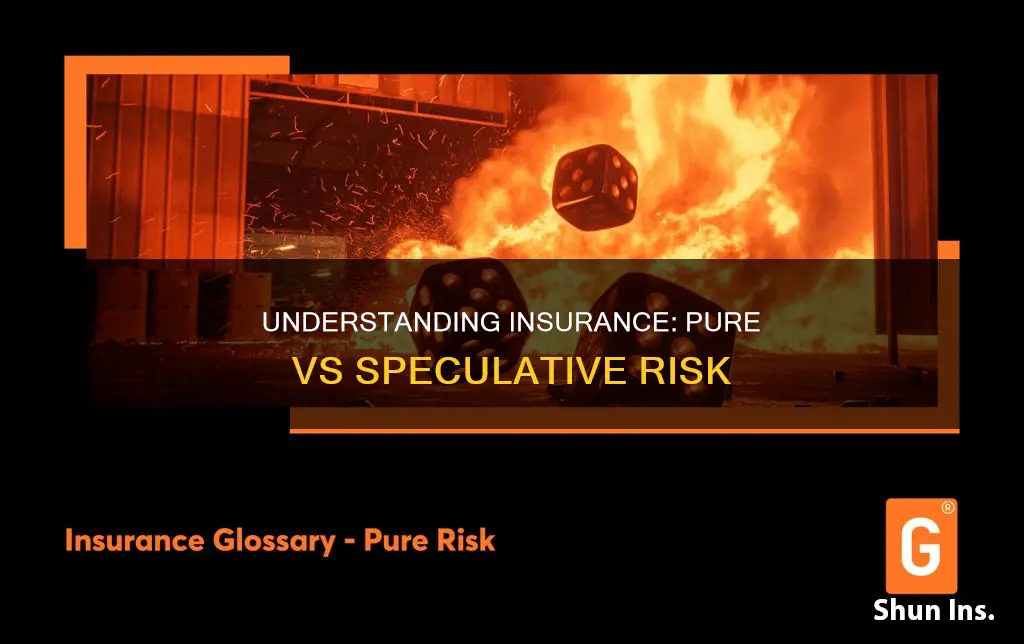 is insurance pure or speculative risk