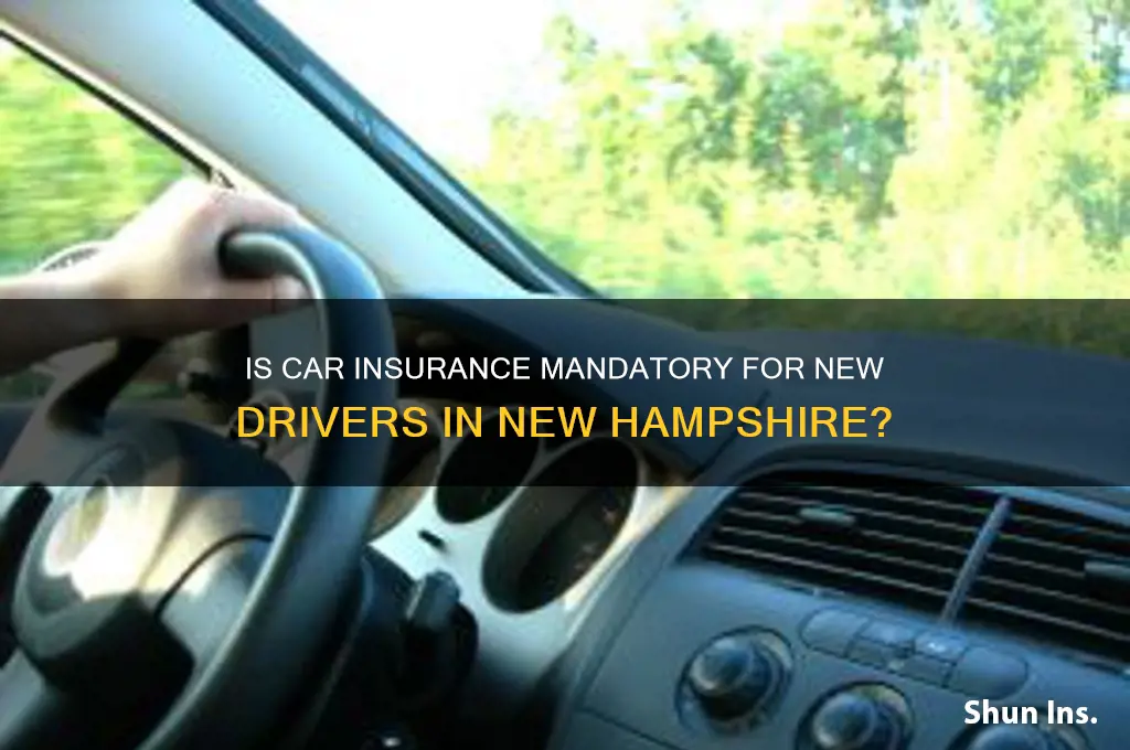 is insurance requited for new drivers in nh