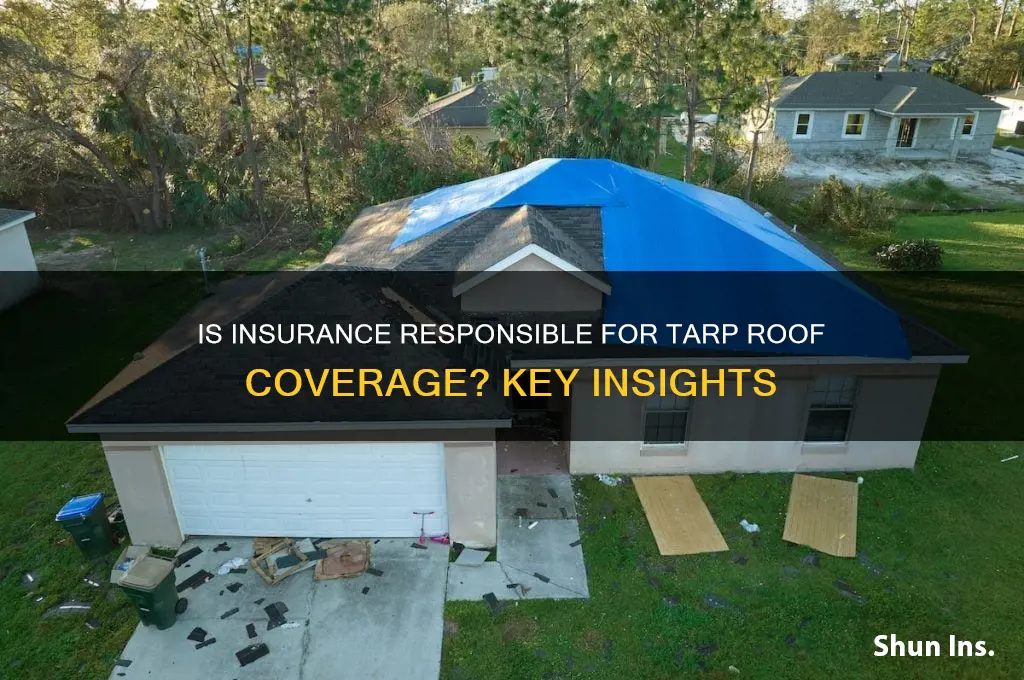 is insurance responsible for putting tarp on roof