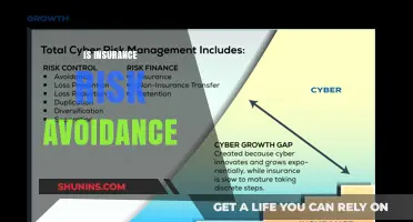 How Insurance Helps Avoid Risks