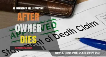 Does Insurance Remain Valid After the Policyholder's Death?