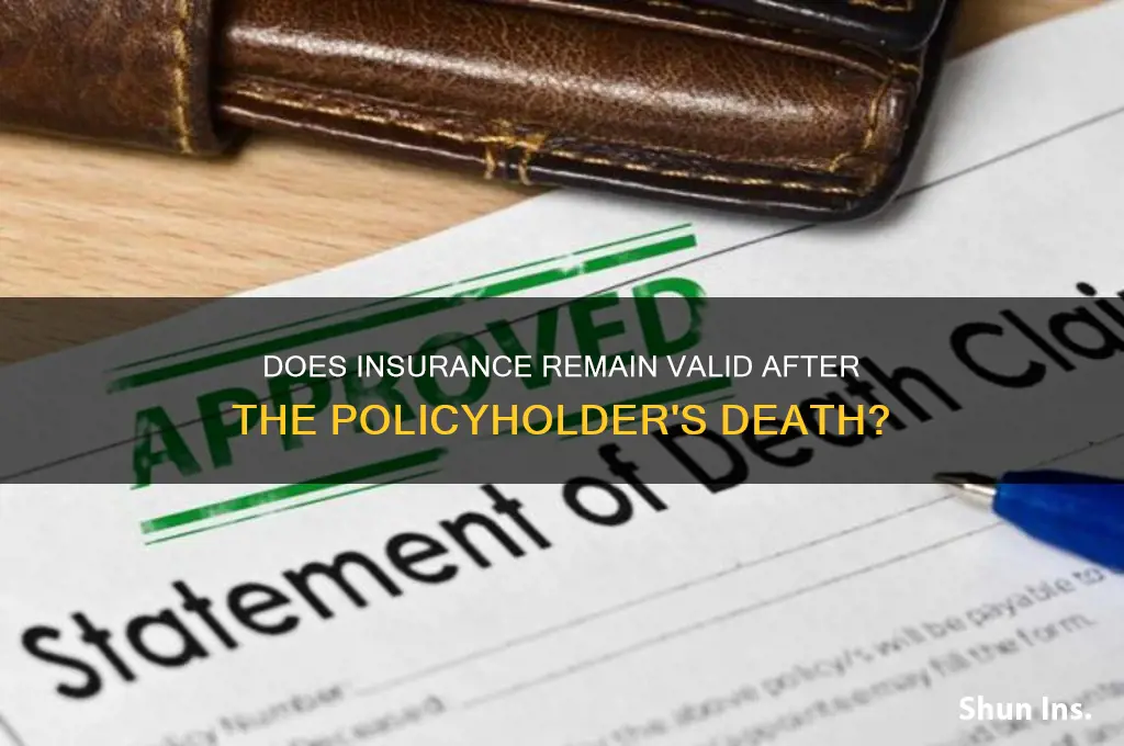 is insurance still effective after owner dies